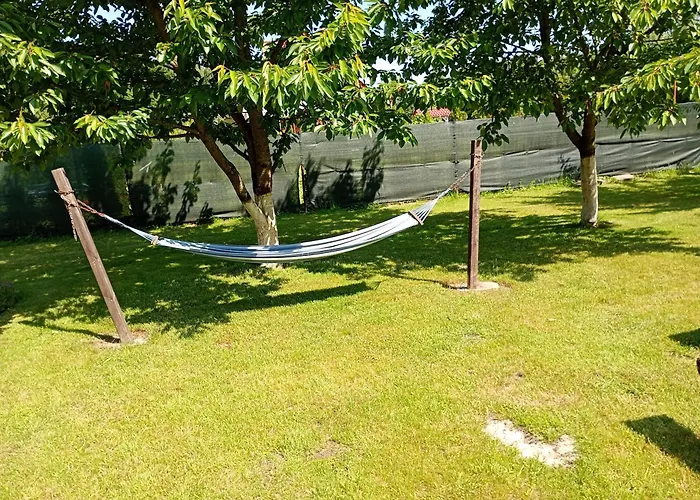 Letniskowy W Nadolu Nad Jeziorem Zarnowieckim *